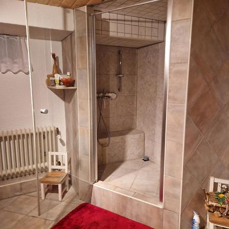 Grosses Gemuetliches Zimmer Mit Eigener Dusche Und Sauna Auf Wunsch راينشتيتن المظهر الخارجي الصورة
